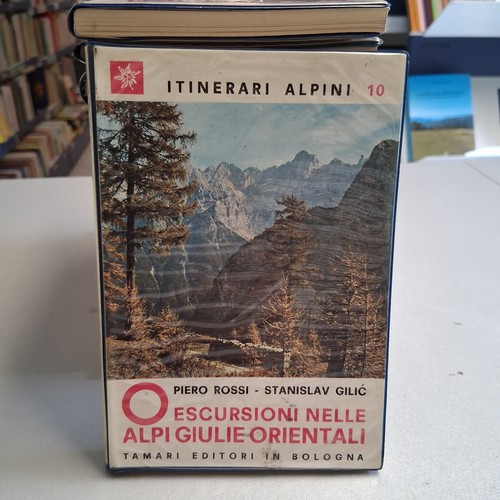 Escursioni nella alpi giulie - alpi,